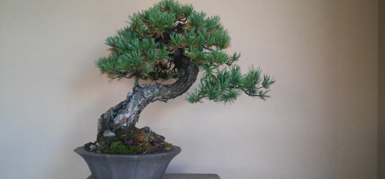 hitooshi o hajime