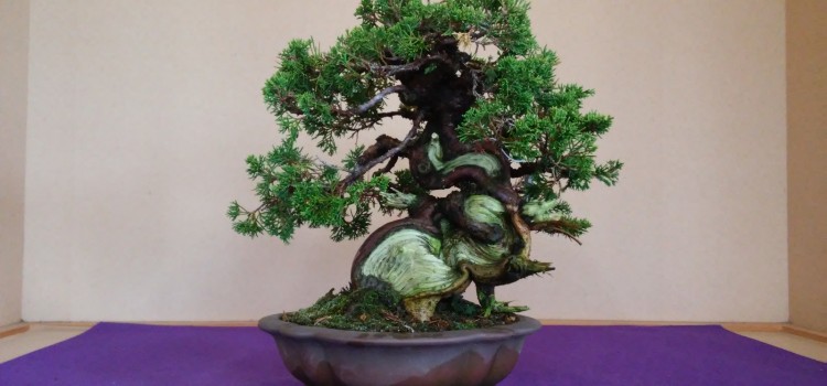 shohin o miwaku