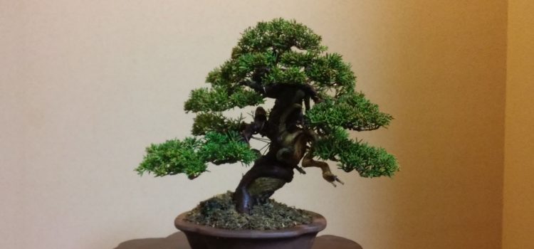 Henkei